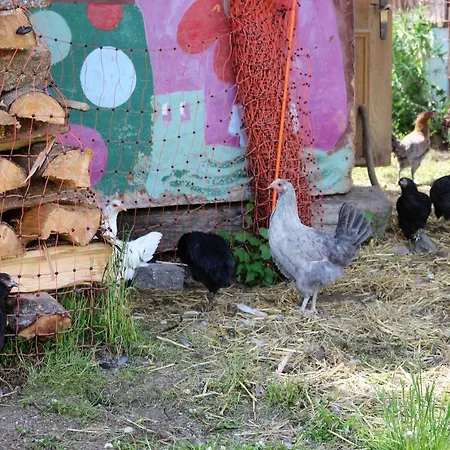 Am Einoedhof * Uttendorf