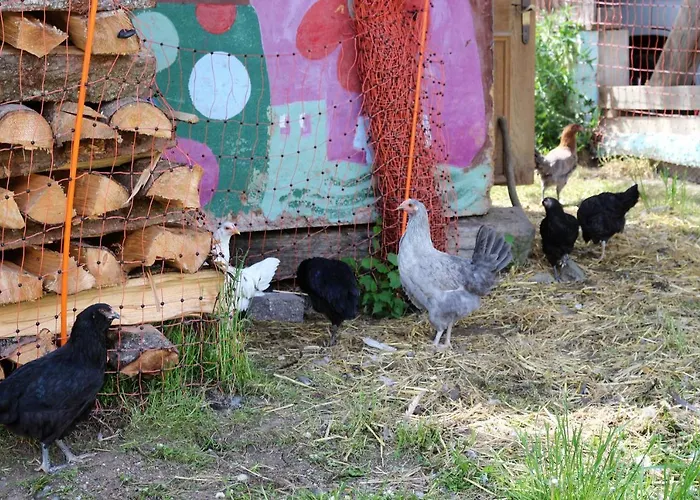 Am Einödhof * Uttendorf